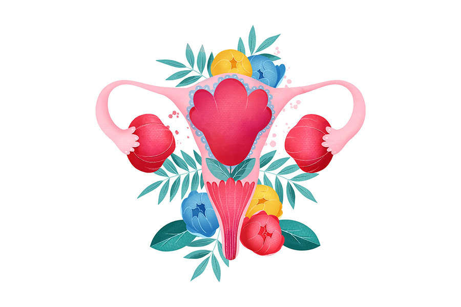 Illustration of women's reproductive system as a living ecosystem