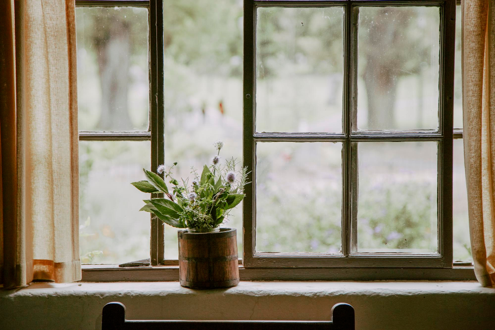 Quiet view from inside a home looking out a window after a POI diagnosis